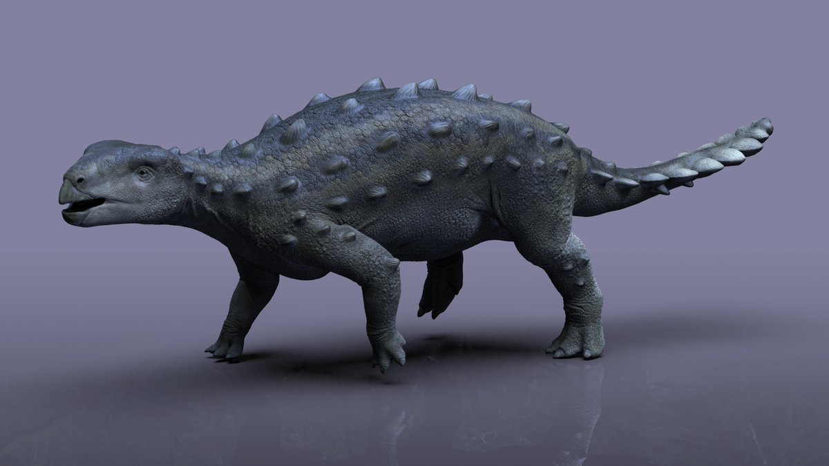 Dinosaur Ankylosaurus Run, Banco de Video - Envato Elements