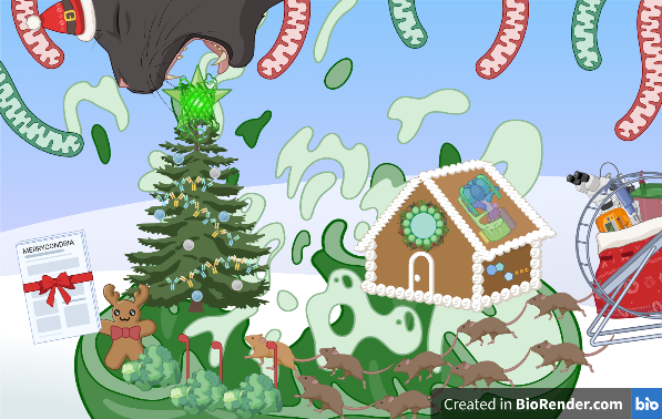 Maya Kostman (MPK) tweet media