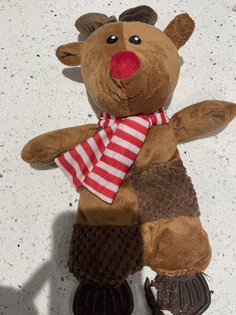 Francesca_ChloM's tweet photo. @PetsatHome brought this for my puppy, gave it to him today and within 10 minutes the plastic feet of the toy look like this with my puppy nearly choking. This isn’t good enough and it is not durable for any dog if this is what a puppy has achieved in 10 minutes https://t.co/jMuiTHUyei