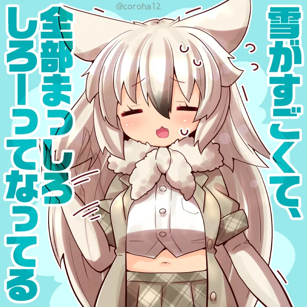 ホッキョクオオカミ 
 
おおゆきのときに投げつけてください=͟͟͞͞🐺⛄ 
 
#けもフレ3 #けものフレンズ 