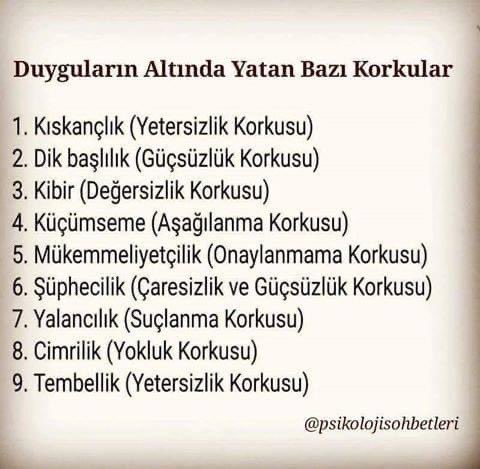 hafize cevik (@haf1964) on Twitter photo 