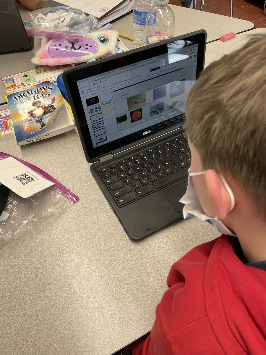 MsSyslo's tweet image. Ss creating food webs for our Plan It Wild Interdisciplinary Unit! @SammonSTEAM @WCSDEmpowers @FishkillFrogs