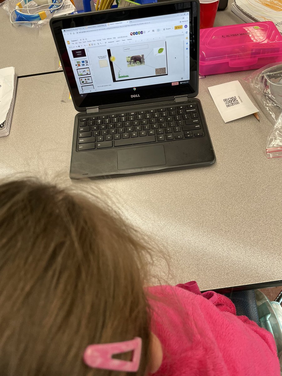 MsSyslo's tweet image. Ss creating food webs for our Plan It Wild Interdisciplinary Unit! @SammonSTEAM @WCSDEmpowers @FishkillFrogs