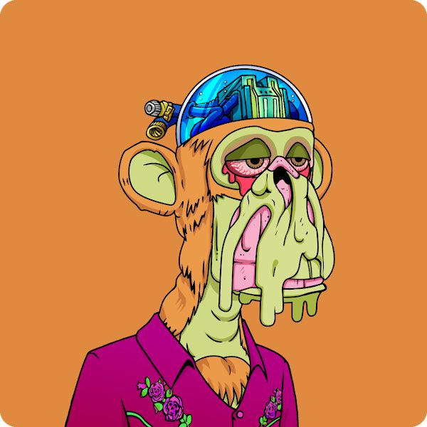 VMCE_ETH's tweet photo. GM frens! Just purchased my first #NFT and joined the #MAYC what’s this I hear about #apefollowape ? Show me the vibes 🥂 https://t.co/6vMVyfVRr0