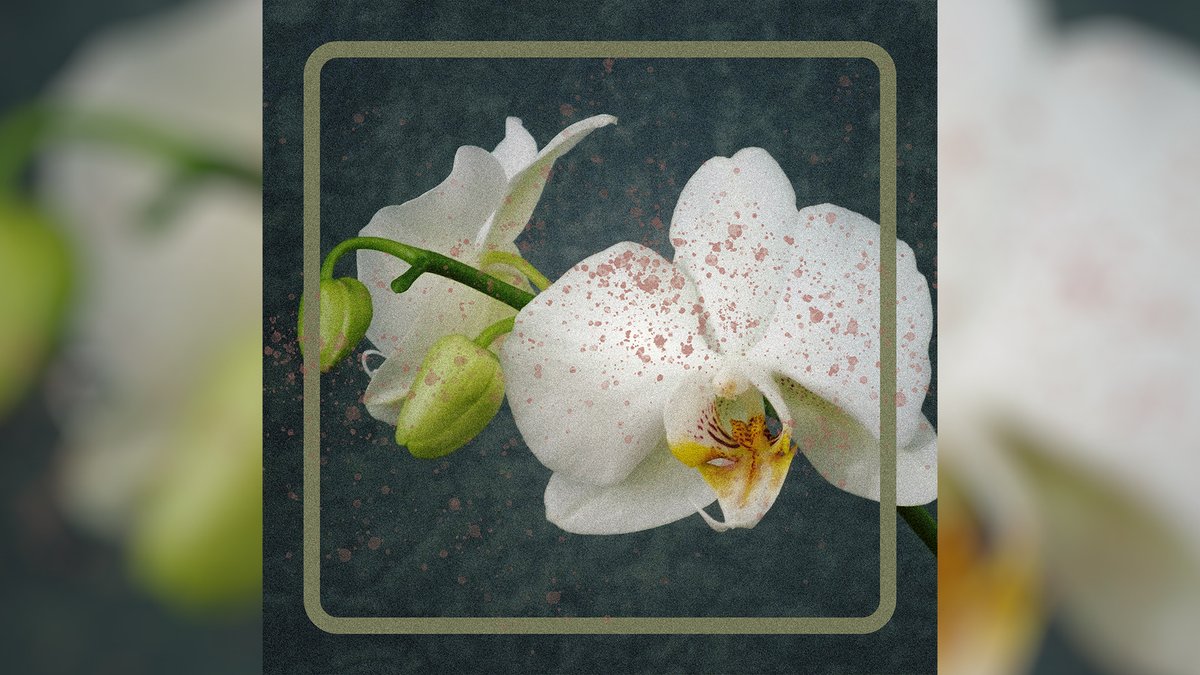 juzziegroovin's tweet photo. [FREE] Toosii x Gunna Type Beat - "Orchid"
https://t.co/MlqitsqOXi
#Toosii #Gunna #TypeBeat https://t.co/o56ibWNr1s