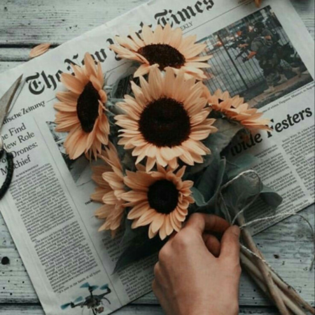 empowerhour_dm's tweet photo. “Don't complain but compliment. Don't compete but empower.” - Debasish Mridha 🌻

#achievetheimpossible #staypositivealways #thinkhappythoughts #tryingtostaypositive #staypositiveinlife #keepgoingforward #keepgrinding #beyourbestself #positivelifestyle #mindsetiseverything https://t.co/LZXluhy5f0