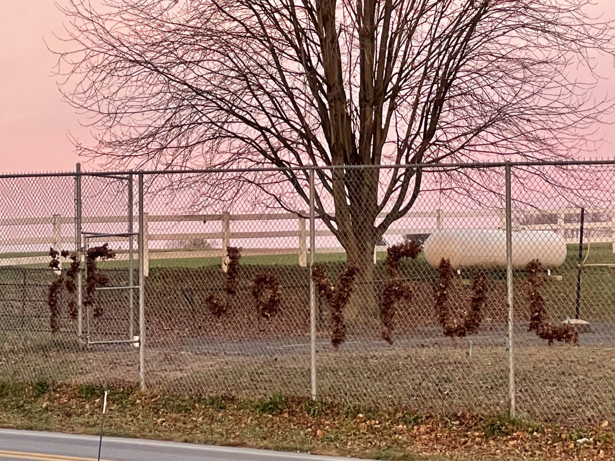 Saw this created by leaves in front of Amish school today. How are you creating a heart and mindset to experience Joy?