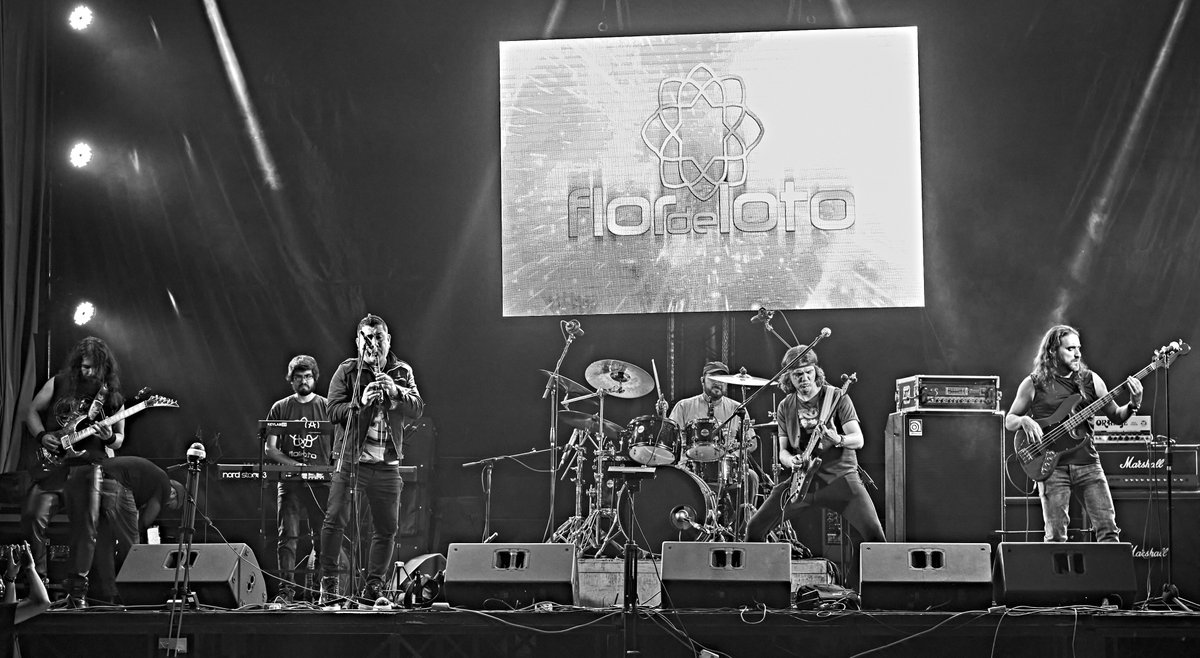 FlorDeLotoRock's tweet photo. ¡ESTO ES FLOR DE LOTO!
#RockPeruano para todo el mundo
.
.
.
.
.
#Rock #Peru #RockPeru #PeruRock #Folk #Metal #FolkPeru #FolkMetal #PeruMetal #MetalPeru #MetalPeruano #Prog #ProgMetal #ProgRock #Progresivo #RockProgresivo #Progressive #ProgressiveMetal #ProgressiveRock #Lima https://t.co/WZFC0ZKYSR
