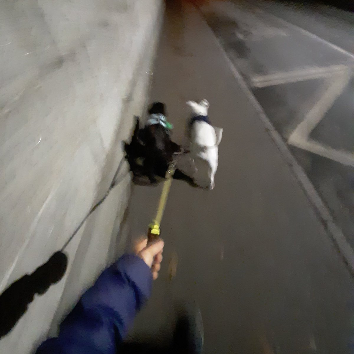 grehango's tweet photo. Day #1/12  *  13km/126km 

#ISLWalk in aid of @HFSchoolDeaf1 - 😁🚶‍♀️ 

#ISLVirtualChristmasWalk #ISLRun #ChristagorasLegend126km 

More info: https://t.co/ksoez7aWhW https://t.co/lxn6wACXmy
