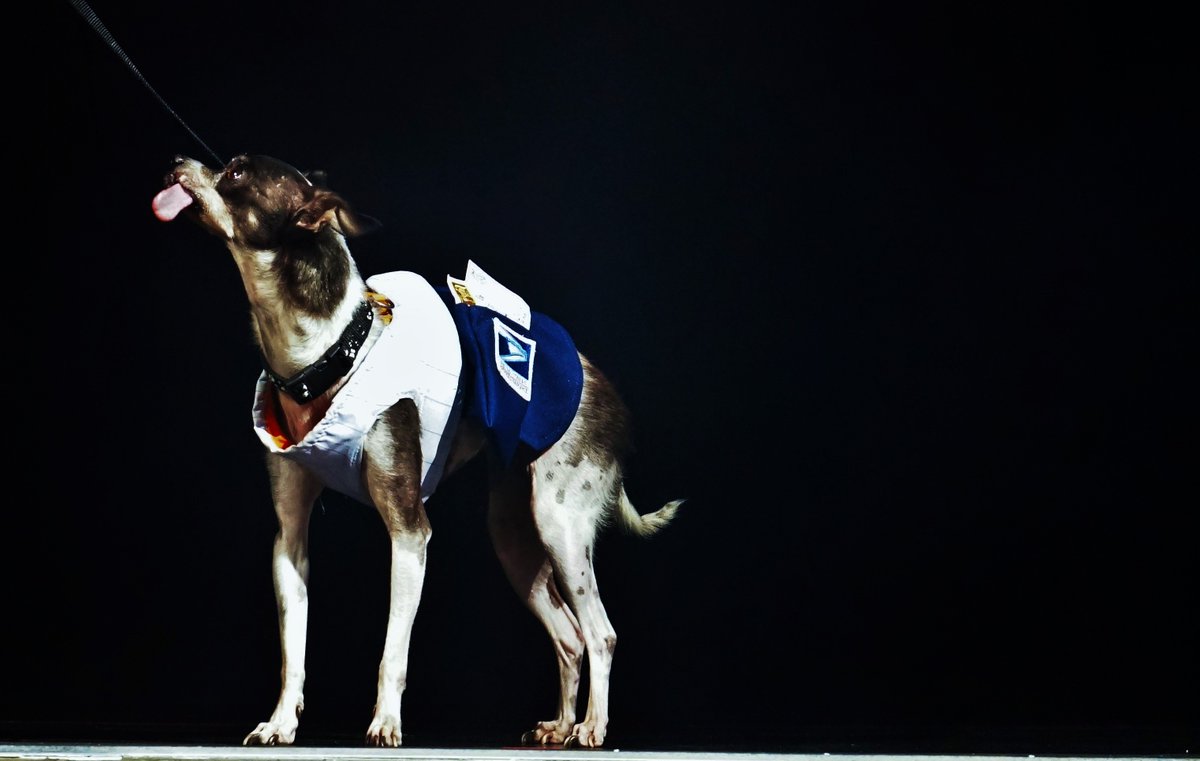 Aaron Radatz tweet media