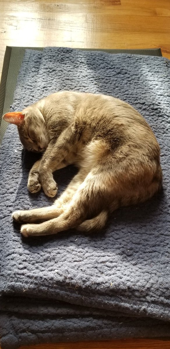 JamesGroelingArt tweet media