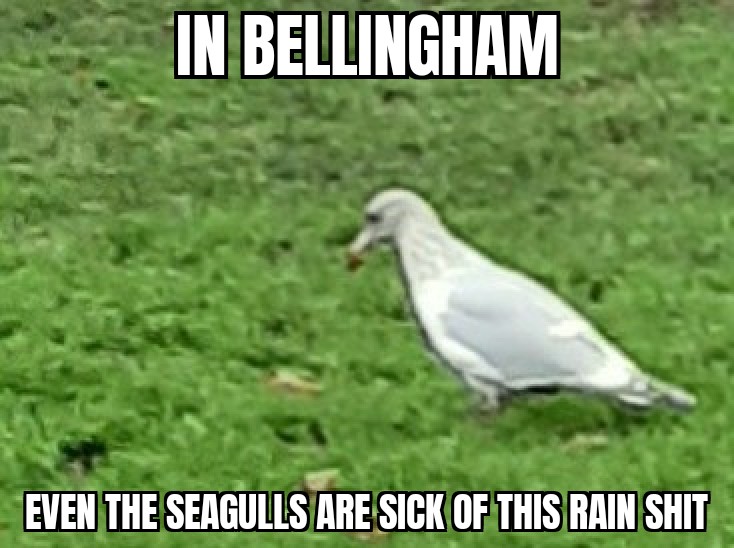 Archer Baumann (@feedle) on Twitter photo 