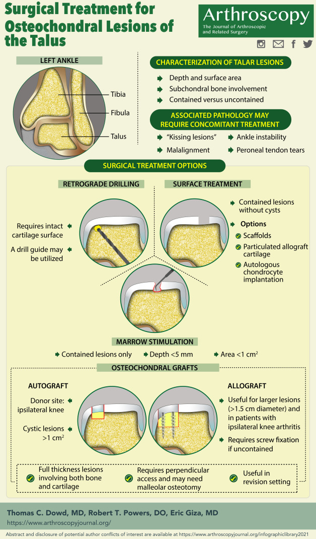 ArthroscopyJ's tweet photo. Osteochondral lesions of the talus were marked as naughty in 2021...surgical treatment as per December infographic! https://t.co/yWjWhQziBn https://t.co/rMurFUD4cV