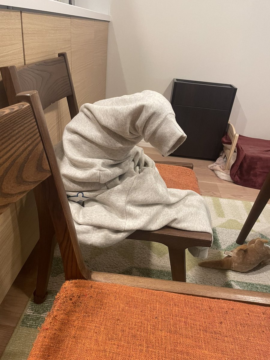 人間が脱いだ服の袖に猫さんが詰まりがちな季節になりました 包まれてるのが安心するんでしょうか Togetter