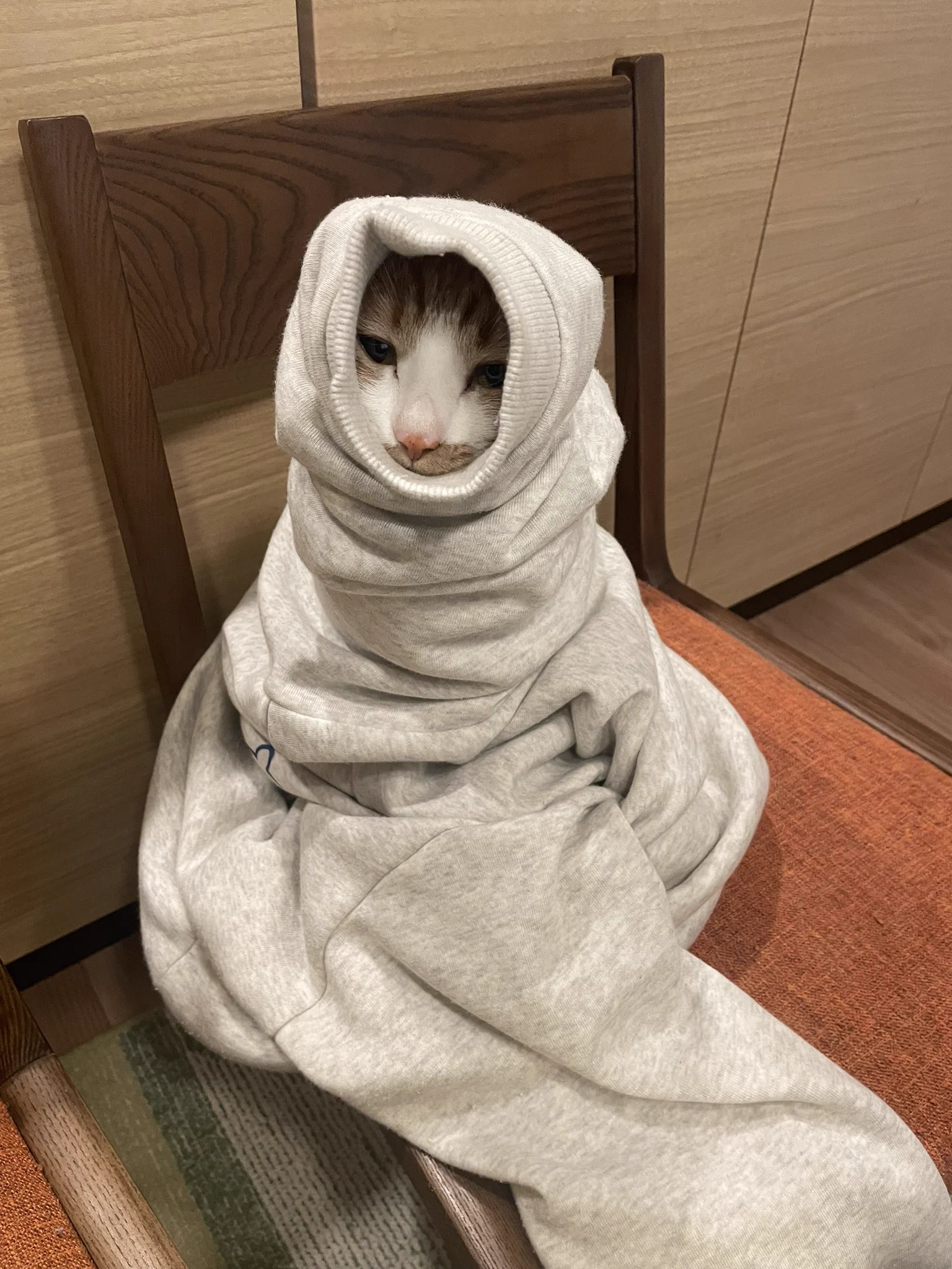 トイレから戻ったら、脱ぎ捨てたスウェットに猫が詰まってたｗｗ