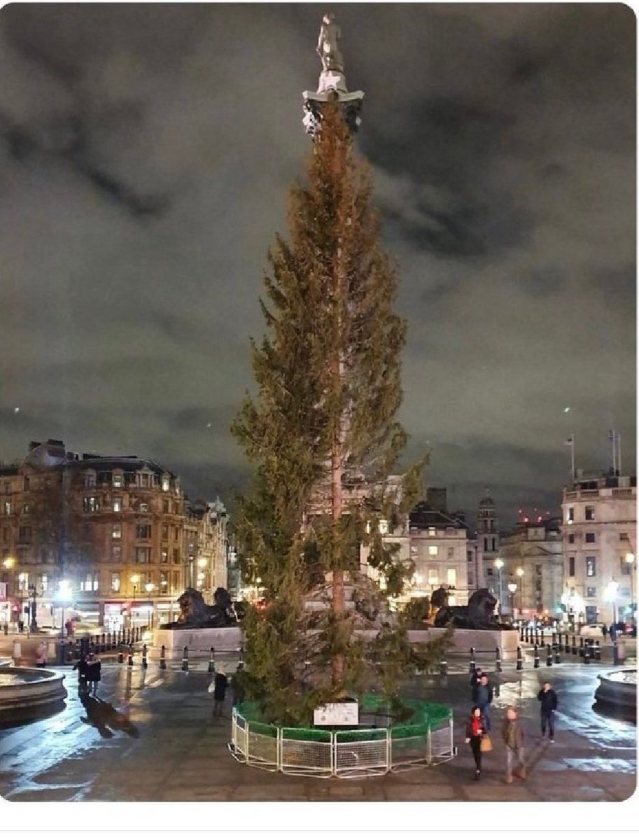 Cheeseontoast 🧀🍞©️ tweet media