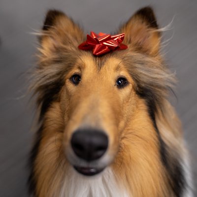 reveille's tweet photo. #NewProfilePic https://t.co/Gh59w2tLYn