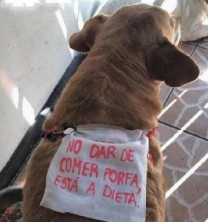 Lomitos Suavecitos tweet media