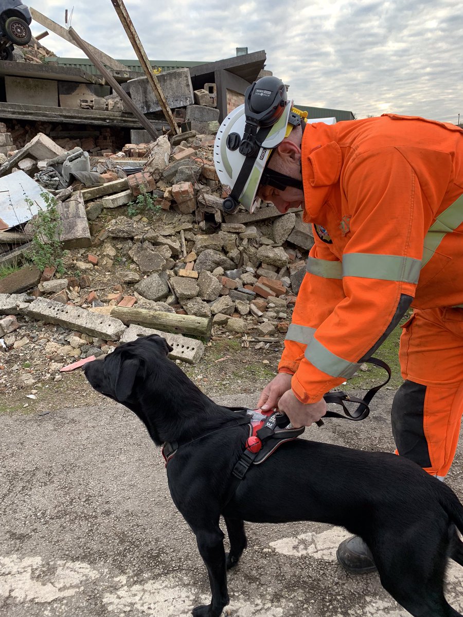 TWFRS_USAR_Dogs's tweet photo. #Great days training with @npdogsection at @Lincs_USAR with the new boy Merlin. https://t.co/eW7vCcGTcH