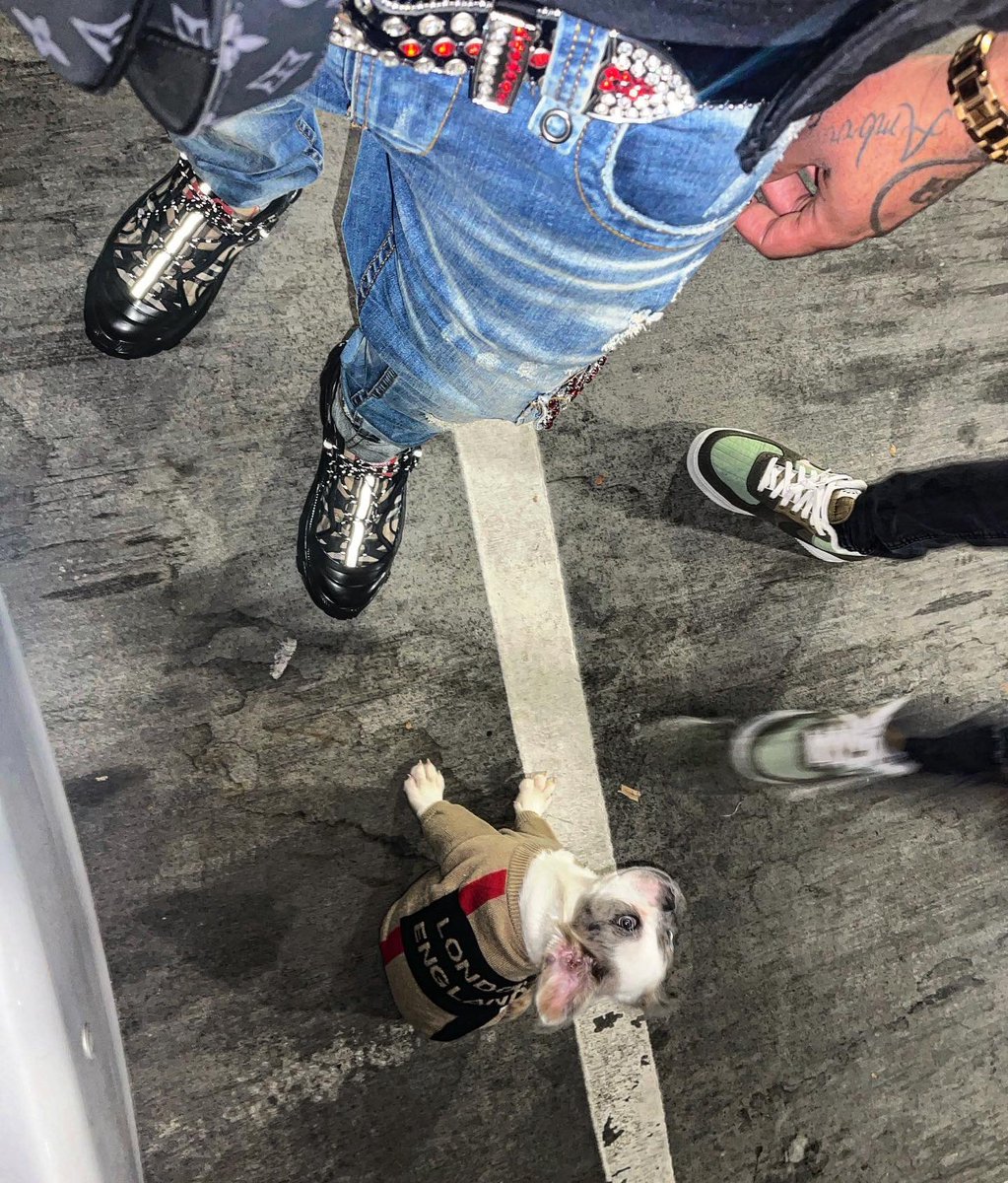 Mir_LuCre's tweet photo. 30 thousand dollars for a new Frenchie 💶 Imma mothafuckin boss wat they gone do with me 👿 https://t.co/6t9781FQ4N