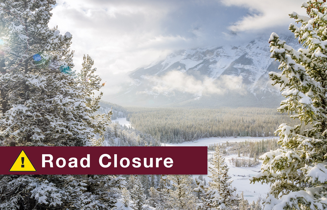 ROAD CLOSURES ALERT🚨
Due to forecasted weather conditions the following road closures are currently in effect:
⚠️Sunshine Village Access Road
⚠️Highway 93 North
⚠️Highway 93 South

Stay up-to-date w/ road conditions! 
Alberta 511.alberta.ca/#:Alerts
BC drivebc.ca