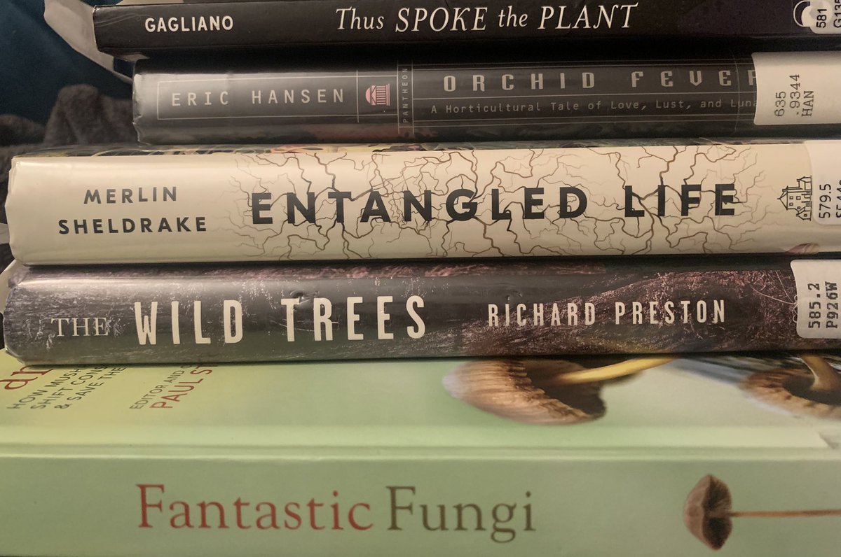 weekendswitwhit's tweet photo. Latest library haul 🥳📚📕
#naturereads #twitternaturecommunity #vitaminN #goodreads #fantasticfungi 

Thus Spoke the Plant
Orchid Fever
Entangled Life
The Wild Trees
Fantastic Fungi https://t.co/igJauRK9TW