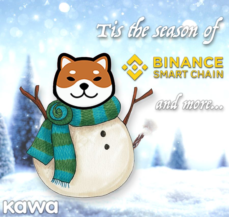 kawakami_io's tweet photo. Development of our BSC bridge will begin on Dec. 8th and should live on test-net by Dec. 22nd! Super excited about this one as it will increase volume and allow small buyers into Kawa. 

That’s right, Kawa is officially going to be on the two BIGGEST crypto chains! 🎉

#KAWA #BSC https://t.co/KoFnqyJMbS