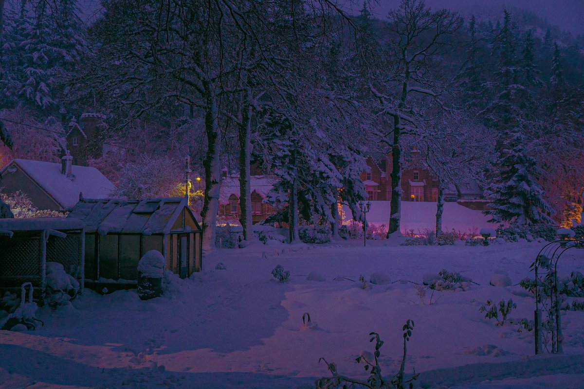 IWanderWorlds's tweet photo. a cold winters night… https://t.co/L7VHZWgUXt