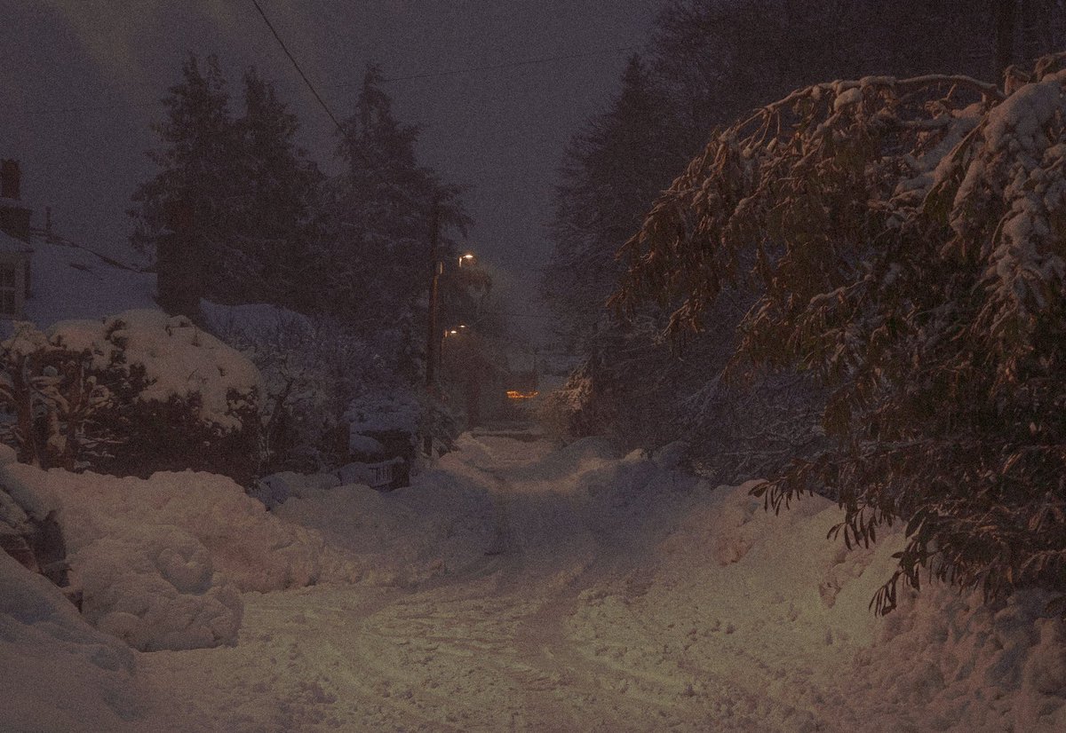 IWanderWorlds's tweet photo. a cold winters night… https://t.co/L7VHZWgUXt