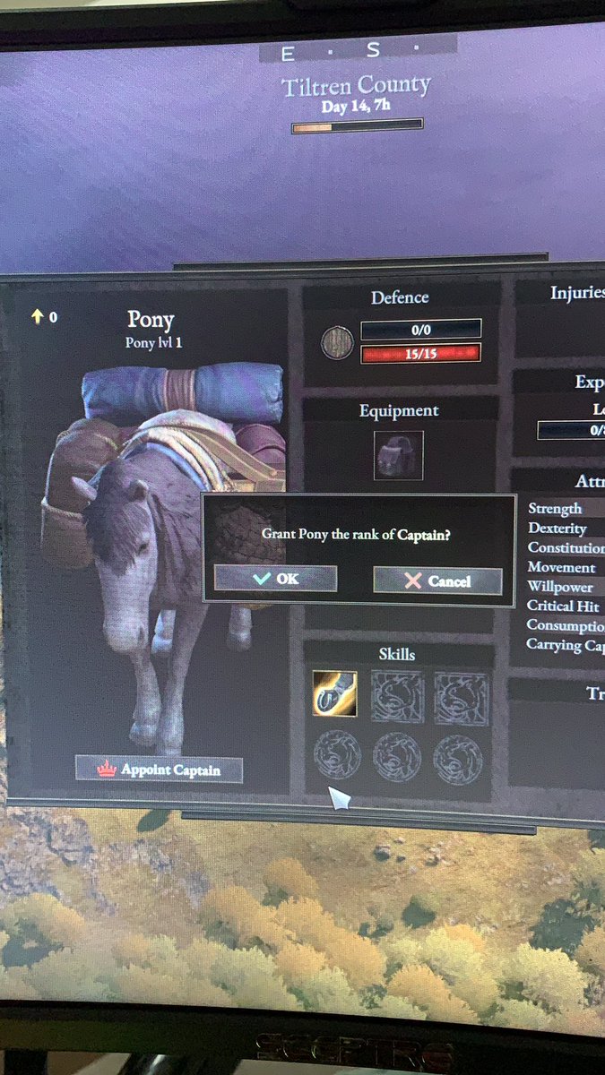 MarioZvZ's tweet photo. Ooooh “Captain Pon Pon” ???@Wartales_Game #YesCaptain https://t.co/hKSGbxsECj