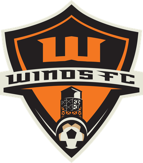 ProtagonistCopa's tweet photo. Group 48/128
@Winds_FC @VermontGreenFC @GHGullsFC @SoccerSoldiers                               
Do not reply - vote in the poll below #copadeinsignia #backyourbadge #protagonist https://t.co/X4jIffpTKK