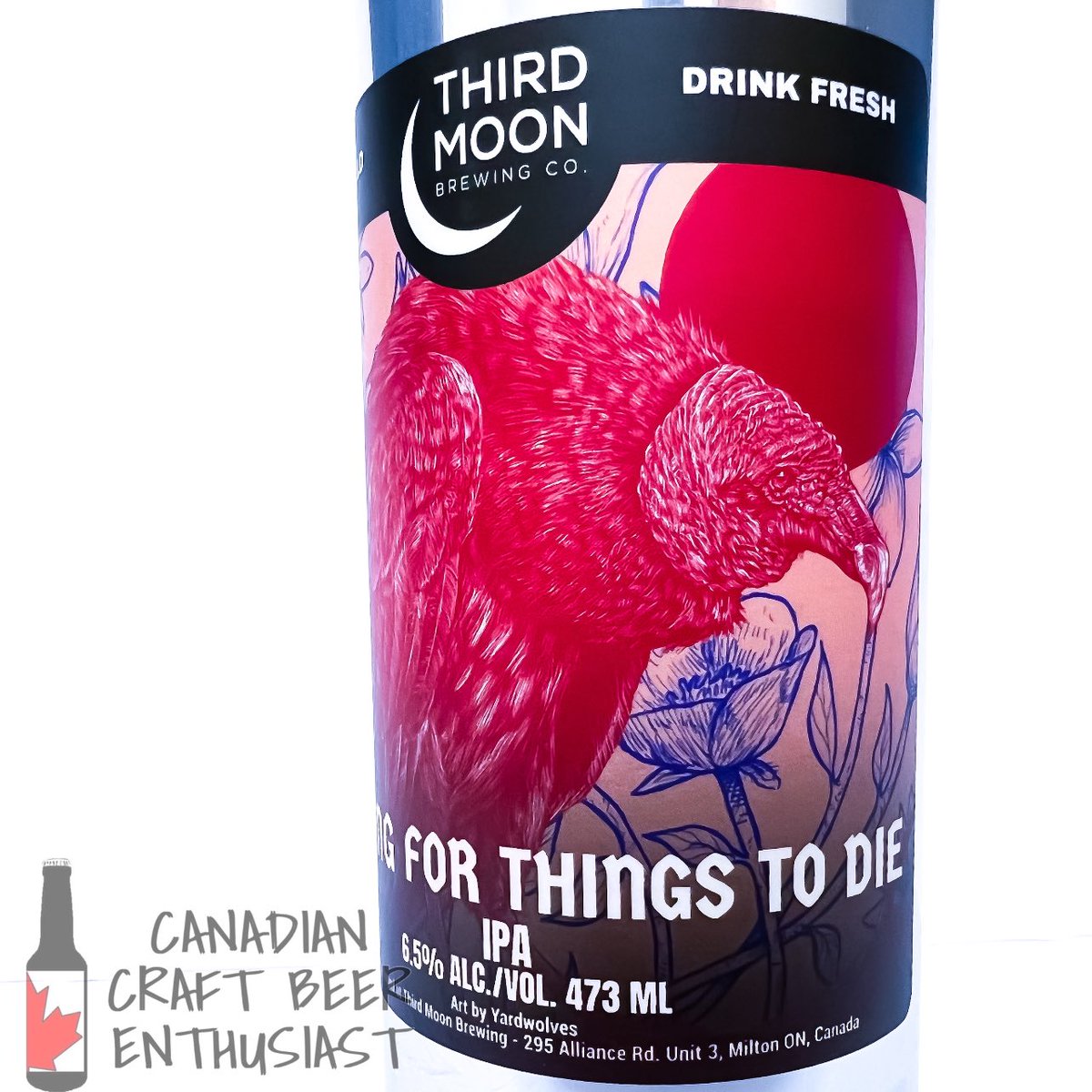CdnCBE's tweet photo. Waiting For Things To Die by @ThirdMoonBeer 

Thanks to my friends Jeff and Sarah for returning from ON with a box of treats for me. Super juicy and pillowy soft with notes of robust orange, citrus peel, mango, peach/apricot, pine resin, earthy/spicy hops. https://t.co/Llzc2z8wnh