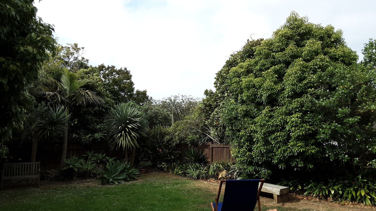 Lisa_Zate's tweet image. 🐷いこまいかい運動部🌸🌼
✅スクワット 20回
✅腕立て10回
✅縄跳び 120回
✅腹筋40回往復
今日もなんとか継続🙌🙌🙌
中国語を学習 聞き流し出来るので一石二鳥🤩👍
#ダイエット倶楽部 #老化防止 #exerciselover #水2L