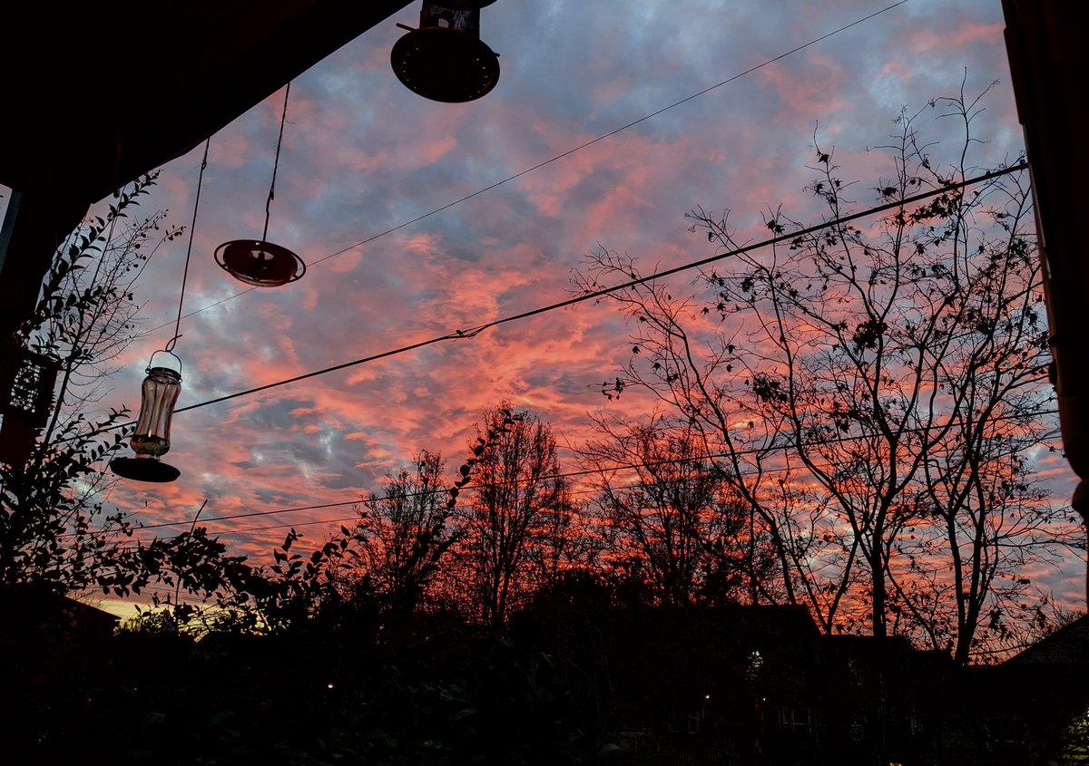 Jonathan Hedstrom tweet media