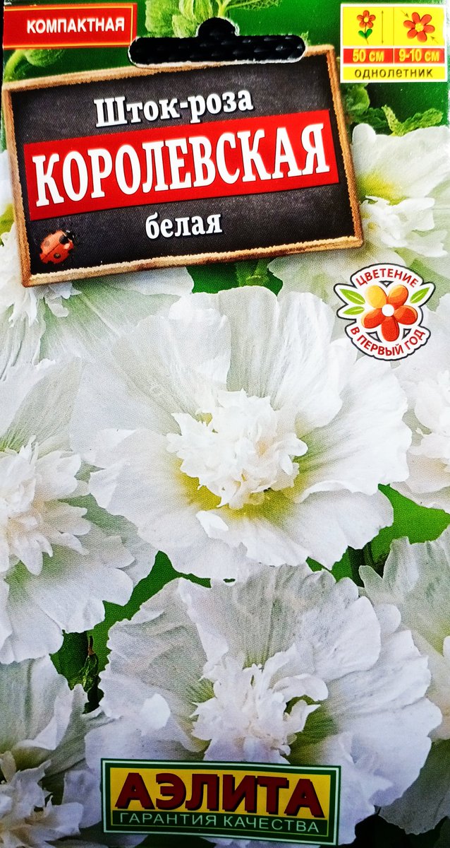 Alexirk's tweet image. Сегодня для милых женщин -
Королевские цветы! 
Шток-розы, так и называются
КОРОЛЕВСКИЕ:
Алая, Лиловая и Белая! 
Формируют компактные, аккуратные кусты высотой до 50 см. 
Цветёт в год посева! 
Цветки- до 10 см. в диаметре, 
махровые, 
оригинальной формы, 
с тонким приятным аромат.