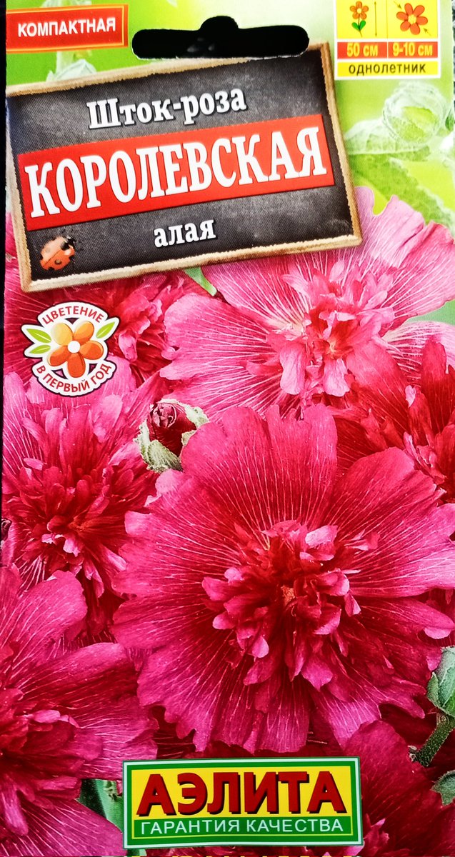 Alexirk's tweet image. Сегодня для милых женщин -
Королевские цветы! 
Шток-розы, так и называются
КОРОЛЕВСКИЕ:
Алая, Лиловая и Белая! 
Формируют компактные, аккуратные кусты высотой до 50 см. 
Цветёт в год посева! 
Цветки- до 10 см. в диаметре, 
махровые, 
оригинальной формы, 
с тонким приятным аромат.