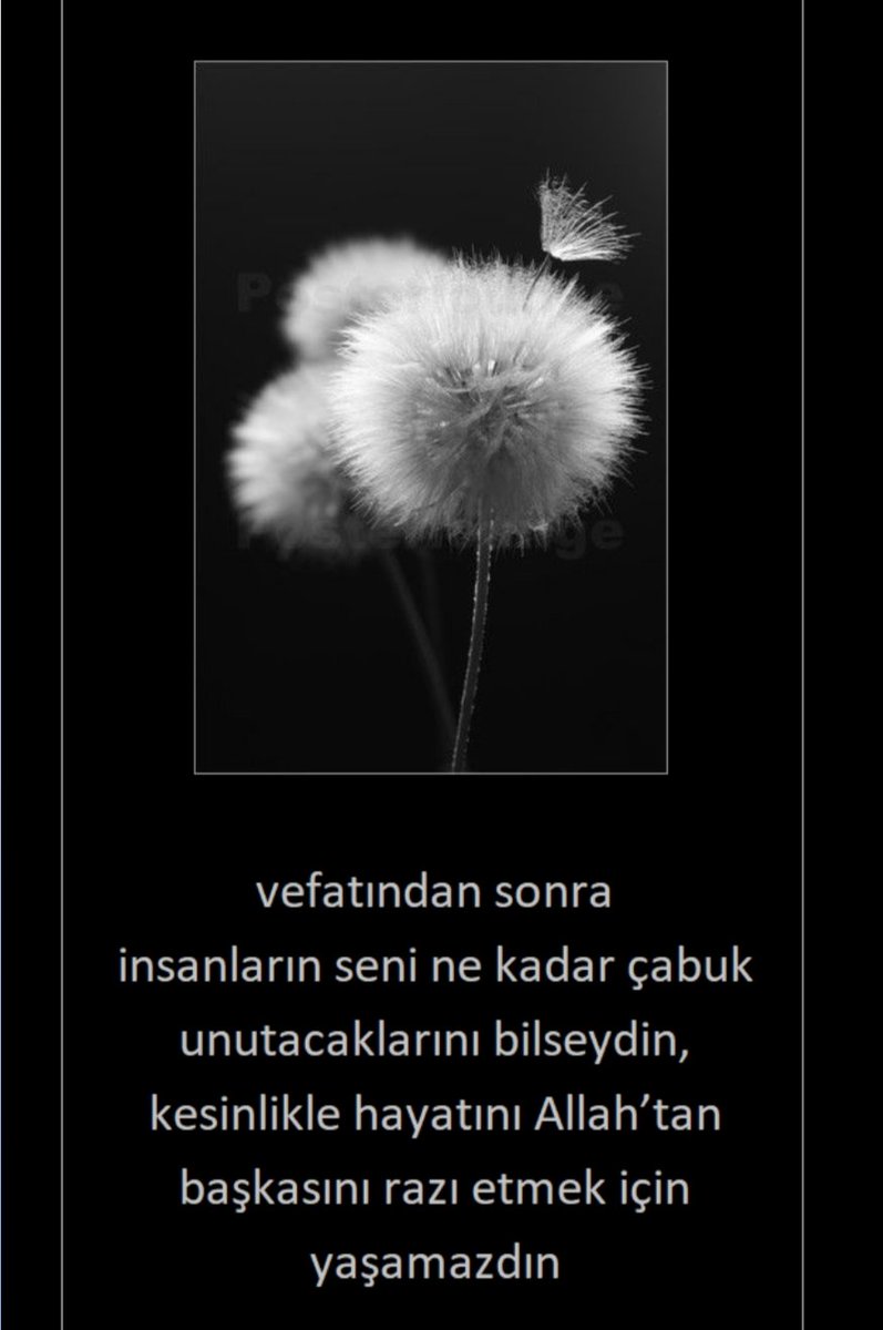 FigenKaracaSy's tweet photo. https://t.co/urlySlniOT