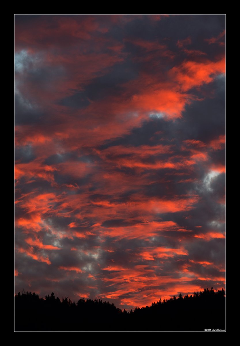 Kram's tweet image. Sunset over Forest Park