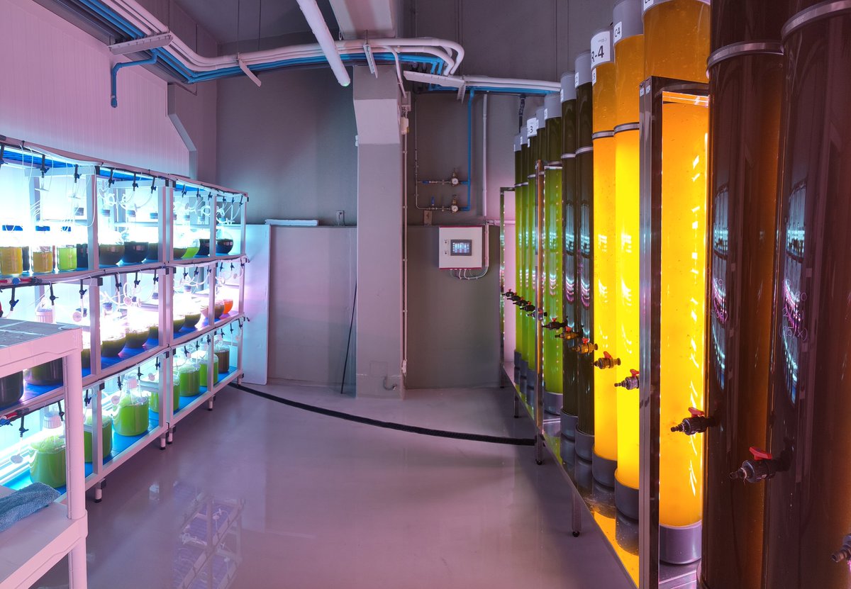 RiTurEs's tweet photo. Por fin podemos decir que la ciencia puede ser espectacular!! 
 Welcome to the next generation of science!!! https://t.co/ArbhXxY0aH