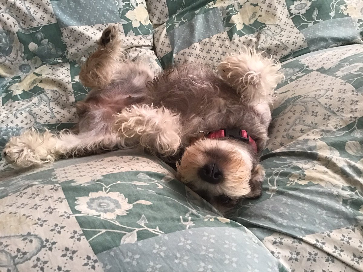 Ya te quiero abrazar mi cosin lindo!