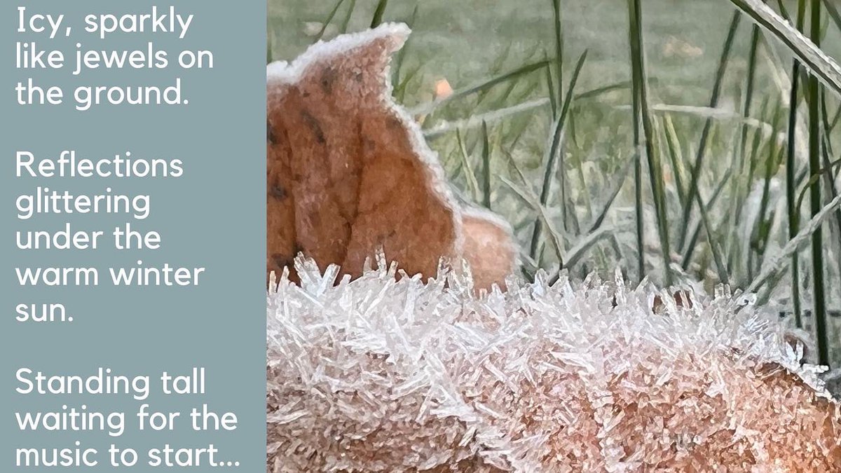 startastoryw's tweet photo. 1st December 2021: The First Frost

One picture: three starters. 

#ks2english #edutwitter #spag #gps #languageimmersion #eduteach #ks2 #teachersoftwitter #instateacher #teachersfollowteachers #englishchat https://t.co/Y5sGPJxjT2