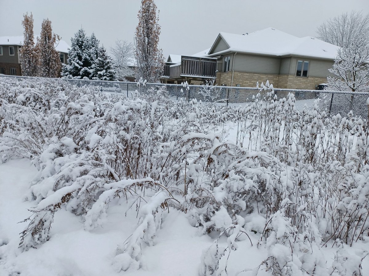 보기엔 아름다운 눈..ㅎ