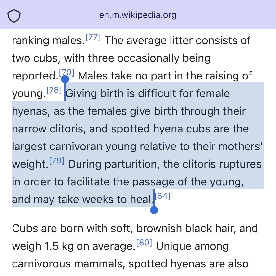 mtroicka's tweet image. nope!!!