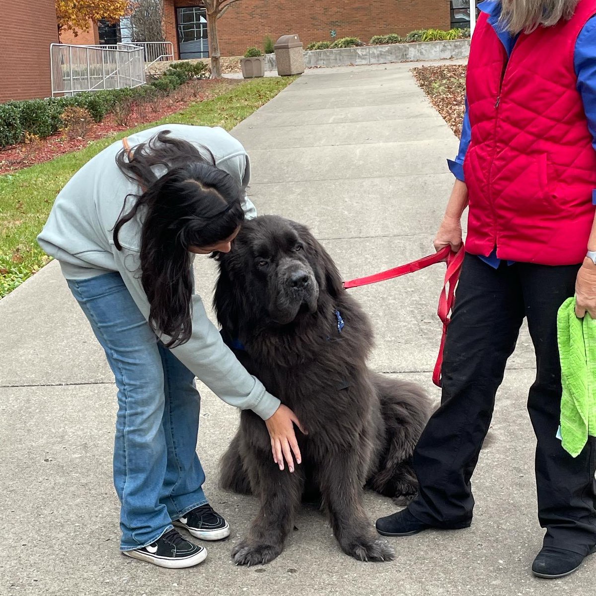 ECHS_MNPS's tweet photo. A few of our students had a great time meeting @sirisaacnewfon today! Big thank you to @nashstatestudentlife for bringing therapy dogs 🐶 to campus for their #StressLessFest. #ECHSLevelUp #HSDualEnrollment @MetroSchools @NashvilleState https://t.co/d54plT1Sgh