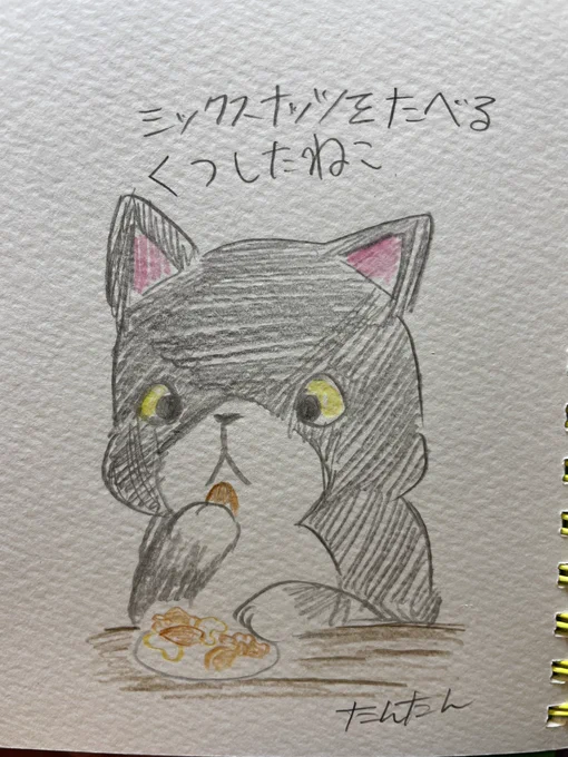 ミックスナッツを食べるくつしたねこ

#イラスト #猫 