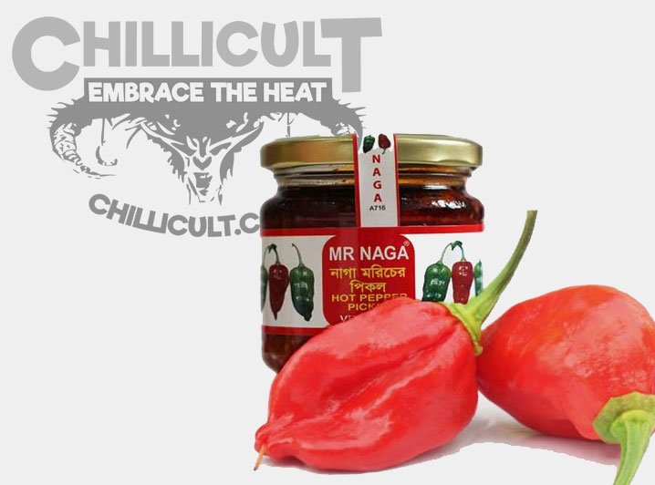 ChilliCult tweet media