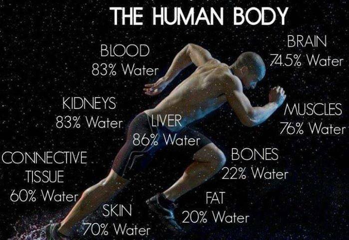 BPCNutrition's tweet photo. PORCENTAJES DE AGUA DEL CUERPO
SANGRE 83% AGUA
CEREBRO 74,5% AGUA
RIÑONES 83% AGUA
HÍGADO 86% AGUA
MÚSCULOS 76% AGUA
TEJIDO CONECTIVO 60% AGUA
HUESOS 22% AGUA,
PIEL 70% AGUA
GRASA 20% AGUA
#asesoríanutricional presencial o por vía Internet
#cuerposaludable #Actividadfísica https://t.co/YOE44YLUsV