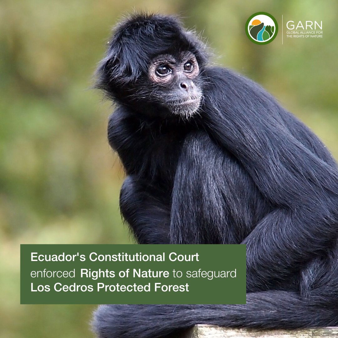 Global Alliance the Rights of Nature - on Twitter: "🌿🇪🇨 BIG WIN for RIGHTS NATURE! In an unprecedented case the Constitutional Court of Ecuador used the constitutional provision on