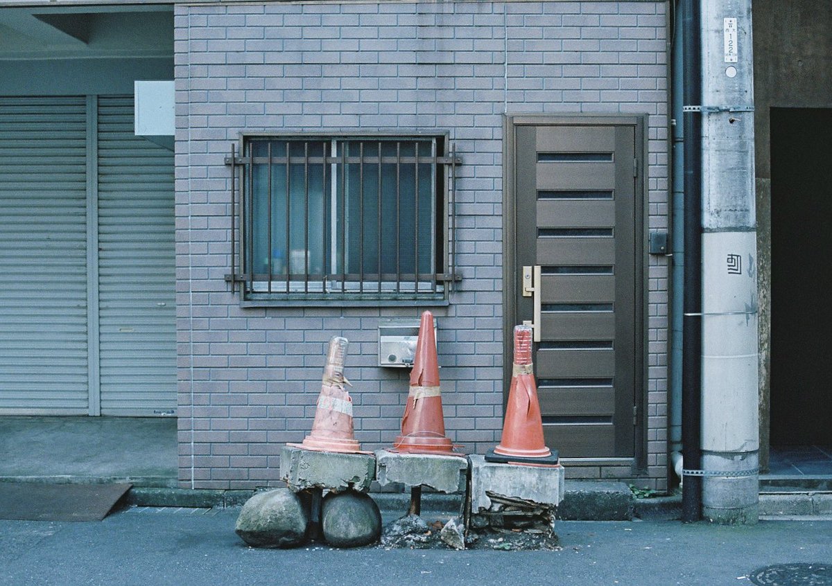 zentanakata's tweet photo. filmphotography https://t.co/WEk50i99fh