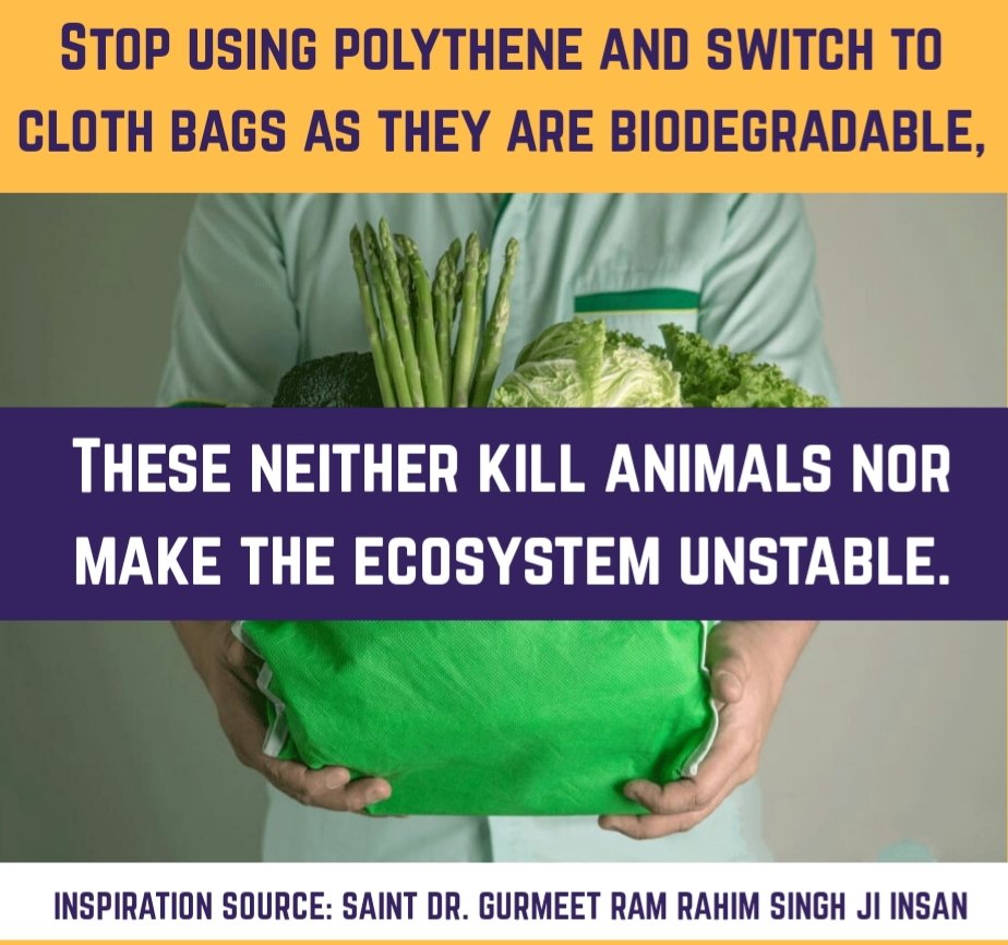 1 is very harmful to the environment. 1 is very harmful to the environment